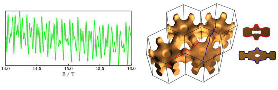 Quantum Oscillation Studies of strongly correlated electrons